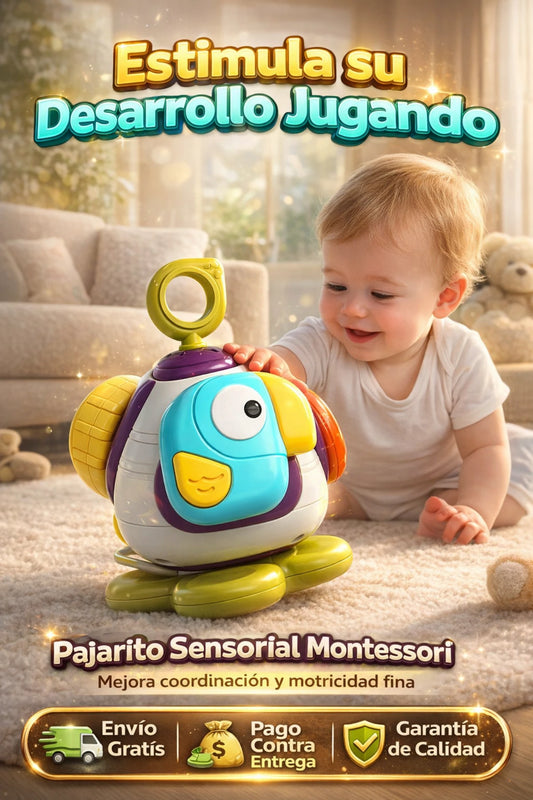 Pajarito Sensorial Montessori